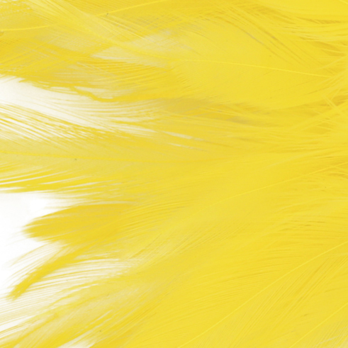 No Alibi, Trolling Feather Lure, Yellow Skirt, 1/4 oz / 7.08 g Head - Image 3