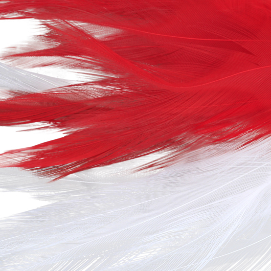 No Alibi, Trolling Feather Lure, White/Red Skirt, 1/4 oz / 7.08 g Head - Image 3