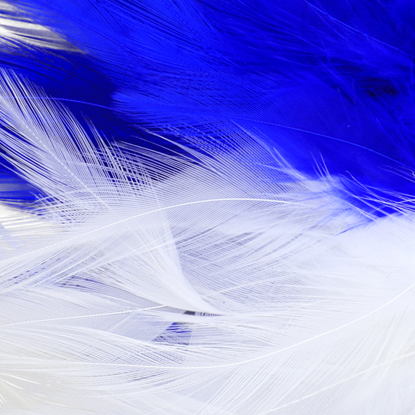 No Alibi, Trolling Feather Lure, White/Blue Skirt, 1 oz / 28.3 g Head - Image 3