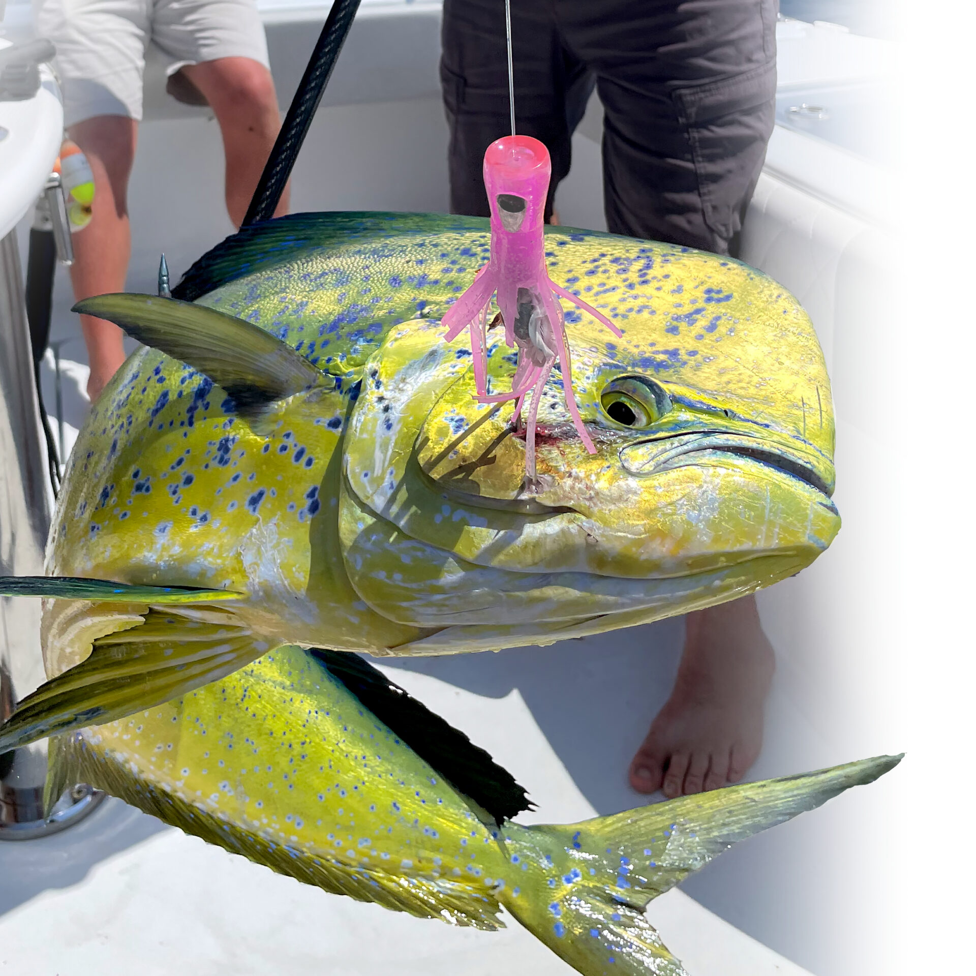 C&H, Alien Lure, Purple/White Belly Vinyl Skirt, Concave Head, Hologram Eye, 7.5 in / 19.0 cm - Image 7