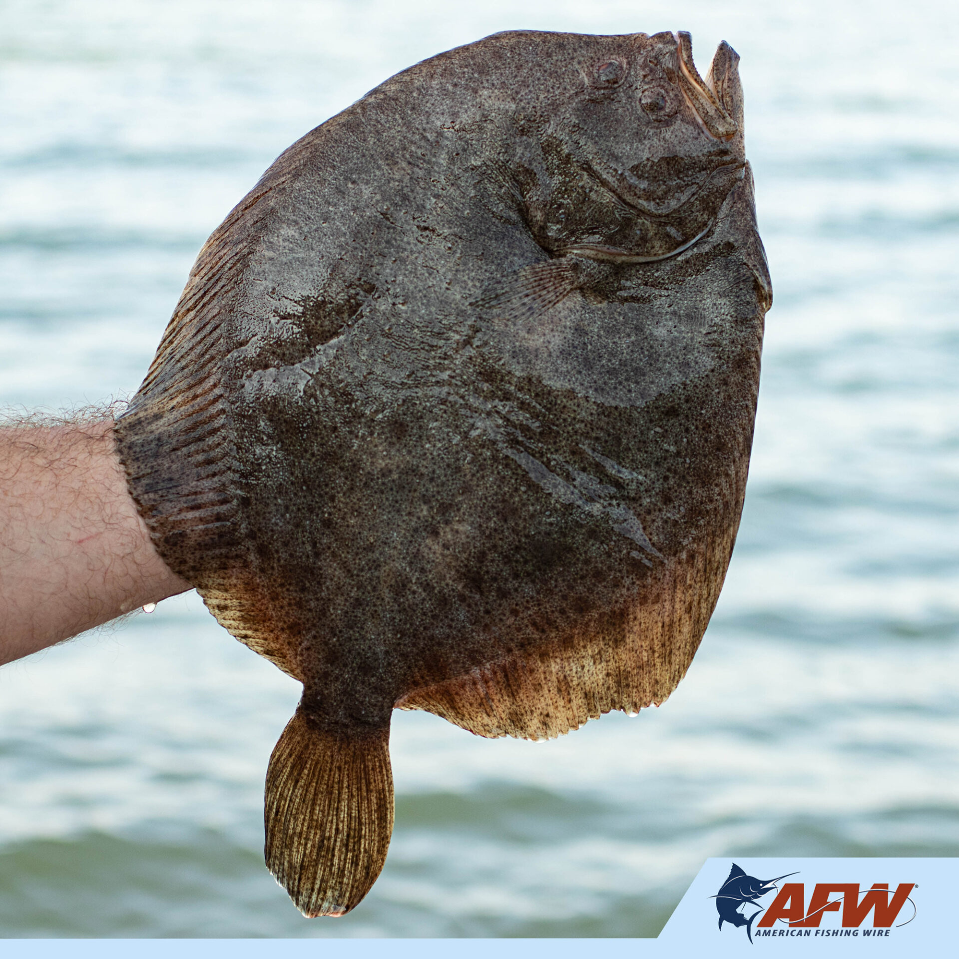 Egg Rapid-Rig - Image 5