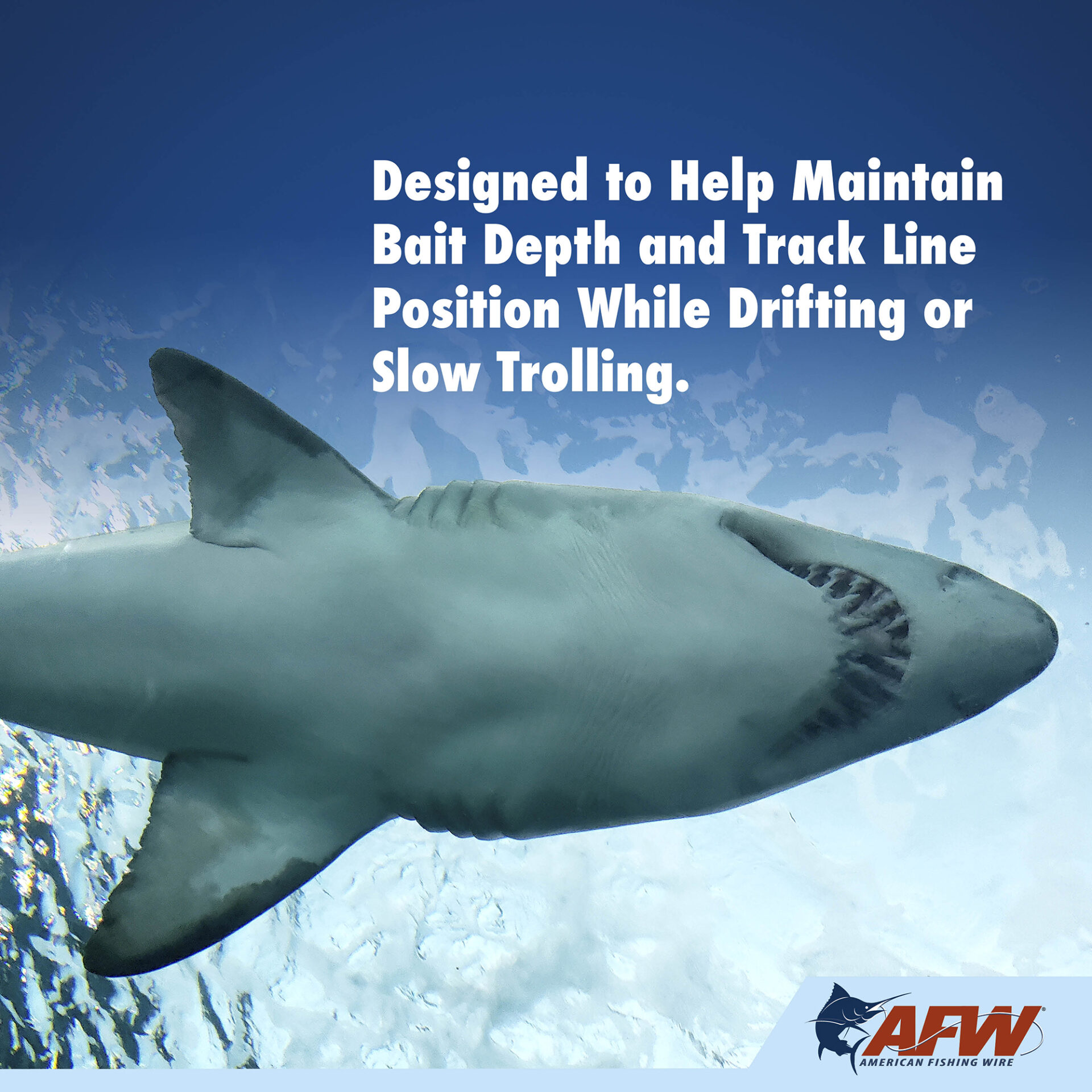 Shark Float - Image 5